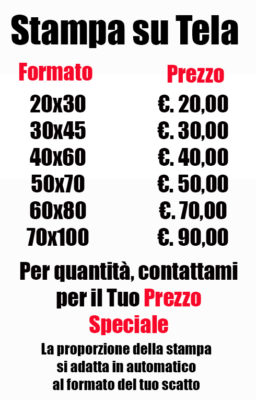 listino prezzi tela